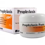 خمیر پروفیلاکسی گلچای GOLCHAI Prophylaxis