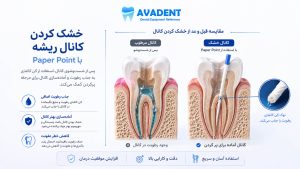 کن کاغذی دندانپزشکی